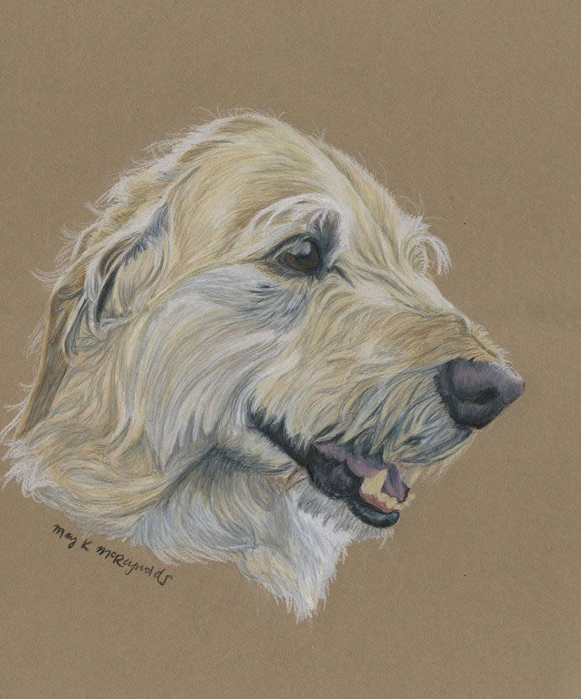 Custom Pet Portrait - Original Hand Drawn Artwork in Colored Pencil of ...