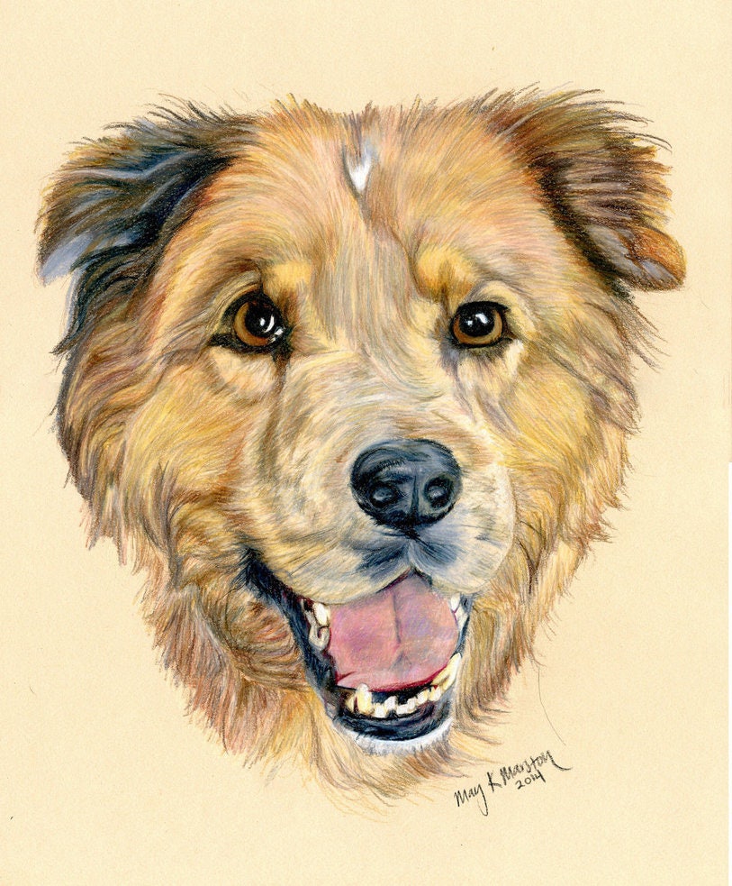 Custom Pet Portrait - Original Hand Drawn Artwork in Colored Pencil of ...
