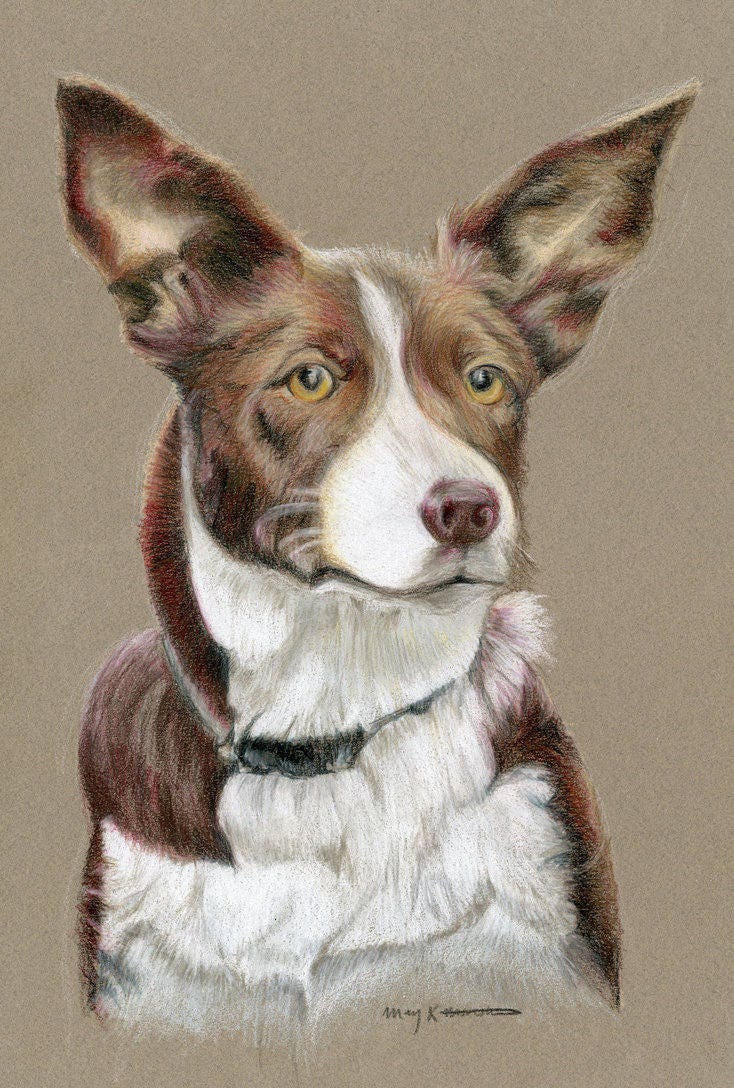 Custom Pet Portrait - Original Hand Drawn Artwork in Colored Pencil of ...