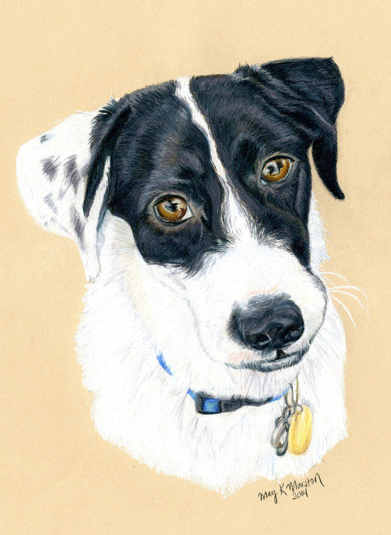 Custom Pet Portrait - Original Hand Drawn Artwork in Colored Pencil of ...