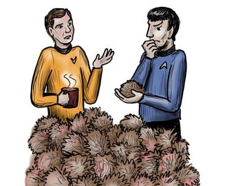 Tribble Troubles - an Herbal Tea Blend for Allergies- Tastes like lemon and mint