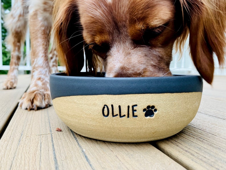 Bol pour animal de compagnie fait main avec nom bol pour chien poterie personnalisée personnalisé cadeau pour animal de compagnie plat chien / chat bol de nourriture bol d'eau céramique image 1