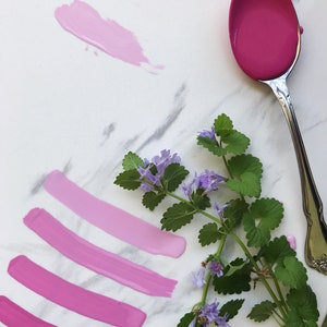 May include: A white marble surface with five pink paint swatches and a single pink paint sample in a silver spoon. A sprig of green leaves with purple flowers is on the right side of the image.