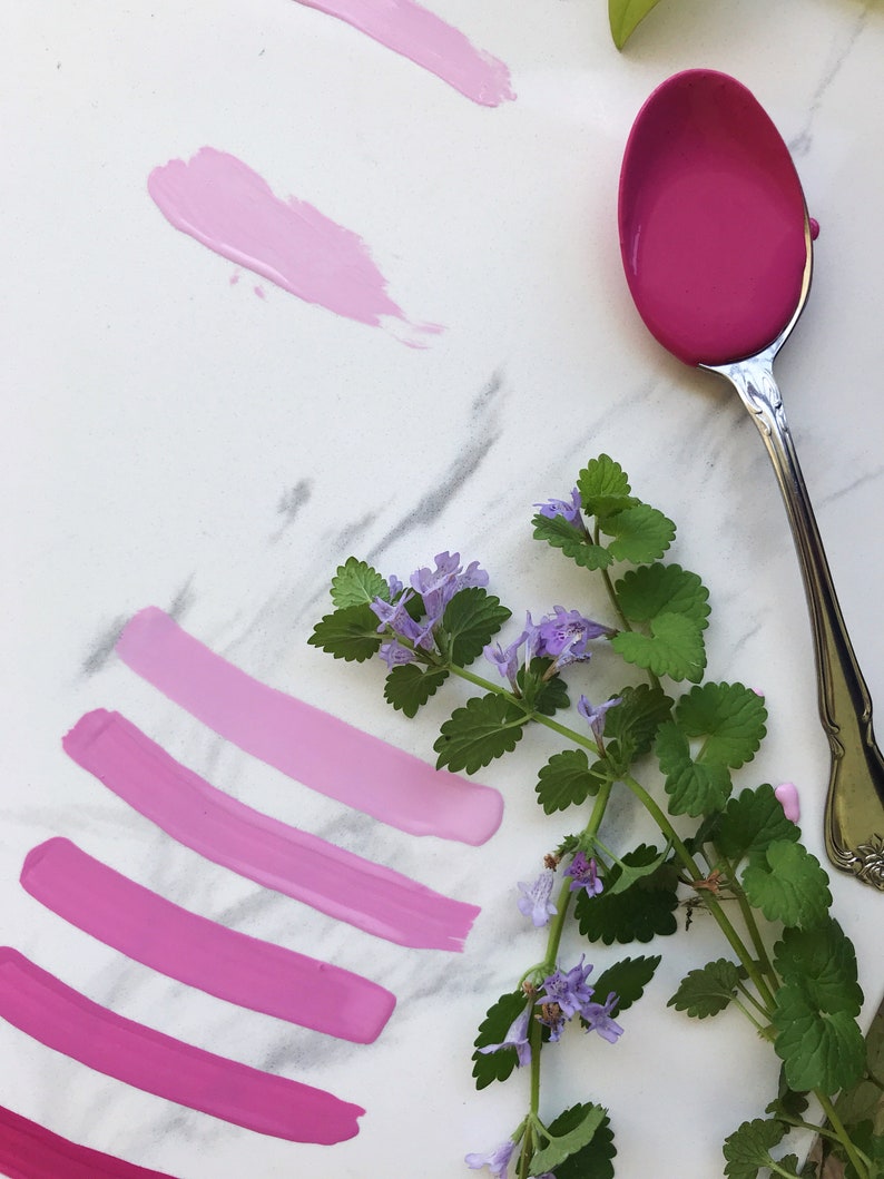 May include: A white marble surface with five pink paint swatches and a single pink paint sample in a silver spoon. A sprig of green leaves with purple flowers is on the right side of the image.