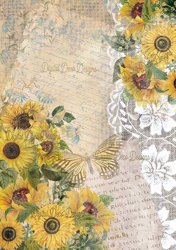 Decoupage Napkins 6.5- Sunny Gnome