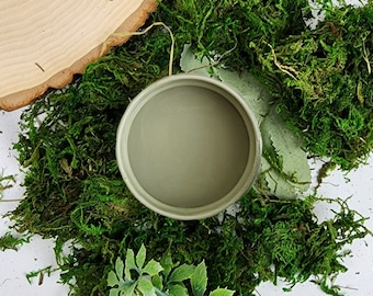 Vintage Moss Paint Couture Paint - Super Quick Shipping! Self Leveling paint with built in topcoat and primer