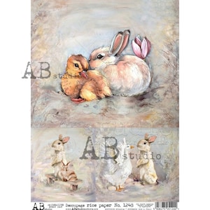 AB Studios Follow the Rabbit 8 Pgs 12x12 Scrapbook Paper Set - TH Decor