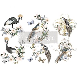 Rare Birds Mini Redesign with Prima Transfer Rub on Decal Furniture Sticker Birds Transfer,  Craft Transfer, Scrapbook, Mixed Media, Collage