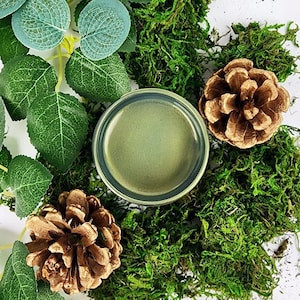 May include: An overhead shot features a small, round, olive-green container with a dark rim, surrounded by green moss, faux leaves, and two brown pine cones. The composition is arranged on a white surface, creating a natural, earthy aesthetic.