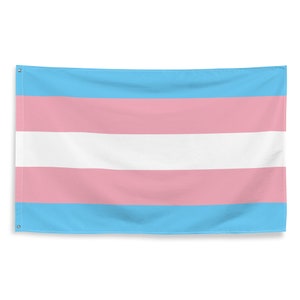 Op de afbeelding: Een transgender pride-vlag met horizontale strepen in lichtblauw, roze, wit, roze en lichtblauw.