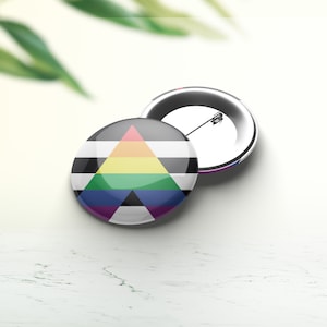 ALLY Flag Button Pin / Lgbt Pride