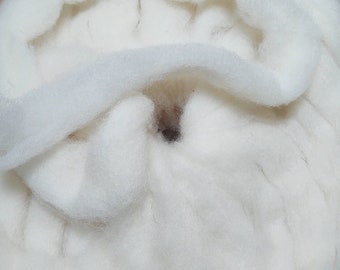 Southdown Babydoll Wool Pencil Roving Undyed, Local, Natural GORGEOUS!  Knit Crochet Macrame Weave Beautiful Wool Cream