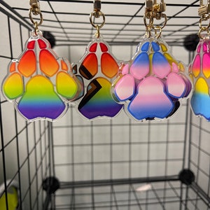May include: Four rainbow paw print keychains with gold metal clasps. The paw prints are made of clear acrylic and feature a gradient of colours, including red, orange, yellow, green, blue, indigo, and violet. The keychains are hanging from a black wire rack.
