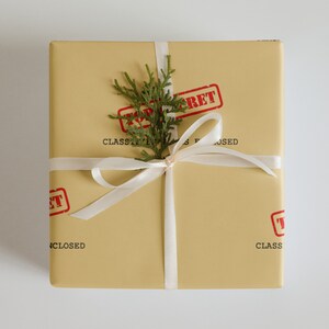Top Secret Wrapping Paper (3 pack)