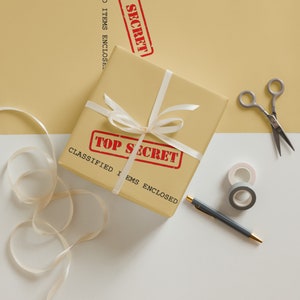 Top Secret Wrapping Paper (3 pack)