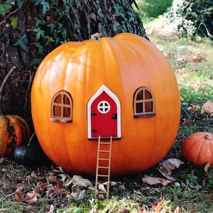 Maison citrouille de fée avec porte rouge | Jardin des fées | Kit de bricolage | Décoration d'automne | Décoration extérieure d'Halloween | cadeau de style automne | Cadeau d'hôte d'automne