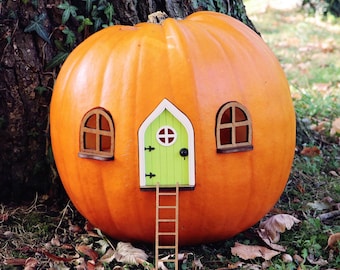 Fairy Pumpkin house set with Green Door | Fairy garden | DIY Kit | Fall decor | Outdoor Halloween decor | fall style gift | Autumn host gift