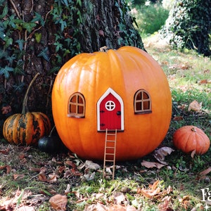 Fairy Pumpkin house set with Red Door | Pumpkin house | Outdoor Decor | Fairy garden | Fairytale door | Fall decor | Halloween decor | Gift