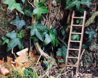 Fairy door accessories 