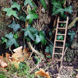 Fairy Ladder for Fairy door | Fairy garden | Fairy ladder for tree | Fairy Garden accessory | Gift