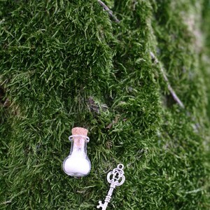 a key and a bottle with fairy dust on a mossy surface