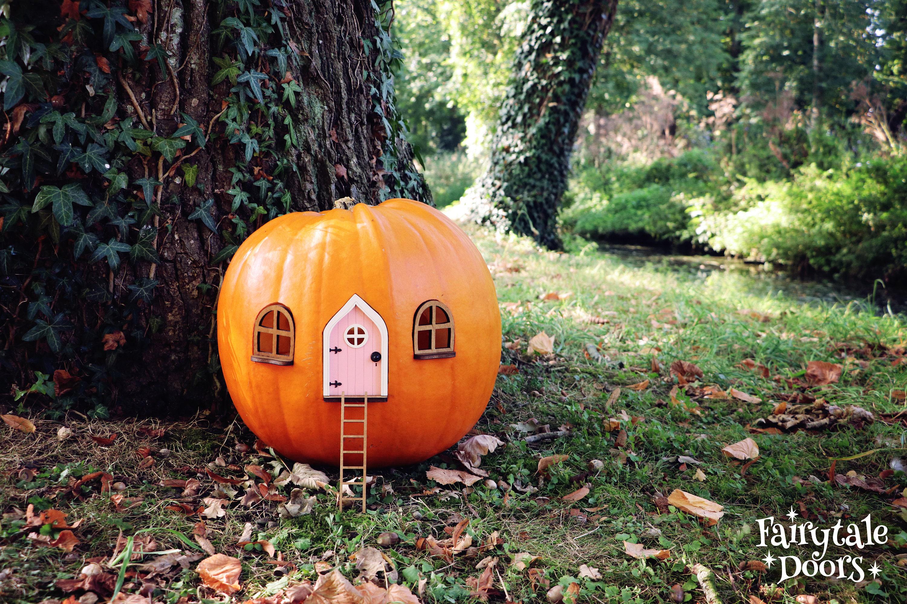 Fairy Pumpkin House Set With Pink Door | Fairy Garden | DIY Kit | Fall ...