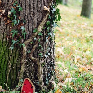 a red little fairy door sitting in front of a tree