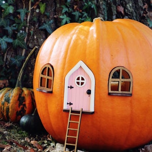 Fairy Pumpkin House Set With Pink Door Pumpkin House - Etsy