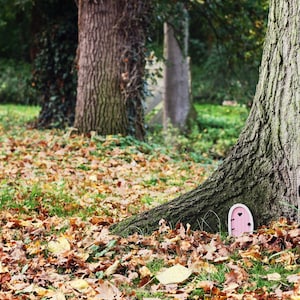 a pink fairy door in front o fa tree