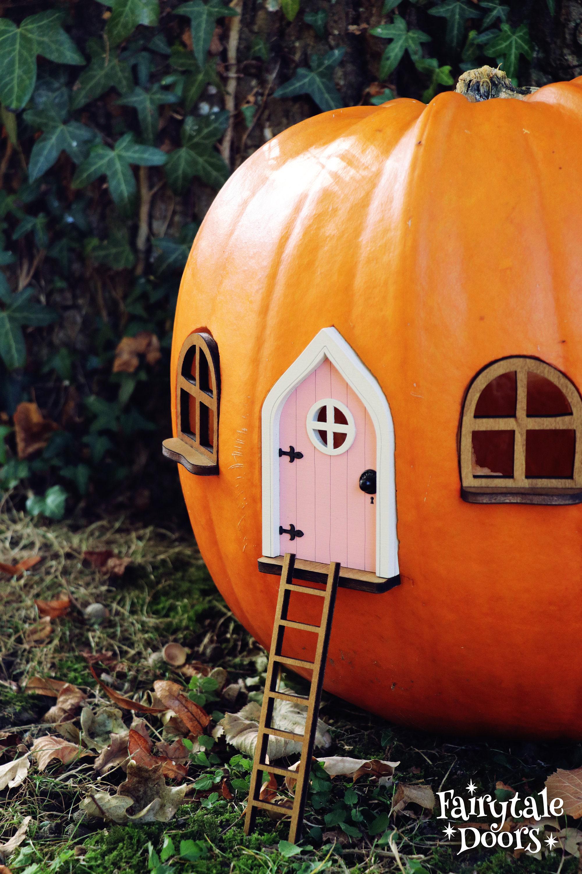 Fairy Pumpkin House Set With Pink Door | Fairy Garden | DIY Kit | Fall ...