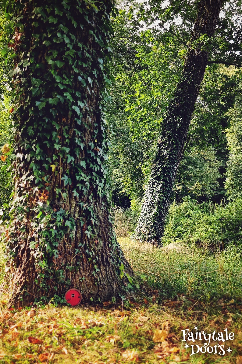 a red fairy door in the middle of the forest