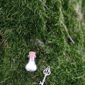 a key and a bottle  of fairy dust on a mossy surface
