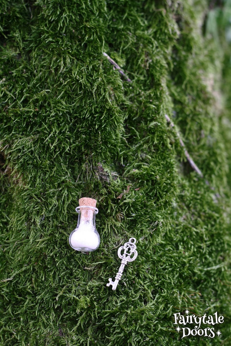 a key and a bottle  of fairy dust on a mossy surface