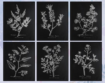 Vintage Botanical Wall Art - Etsy