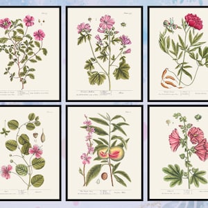 Set of 6 Vintage Botanical Prints Wall Art. Botanical Poster. Botanical Art. Office Wall Decor. Botanical Illustrations. Digital Download