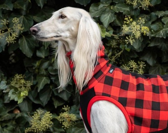 90% cotton - Sweatshirt for the big sighthound. Saluki, sloughi, galgo, sighound