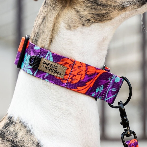 Martingale collar for whippet, saluki, galgo, greyhound - Fluo Flower