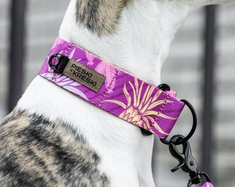 Collier martingale pour whippet, saluki, galgo, lévrier - Bonita