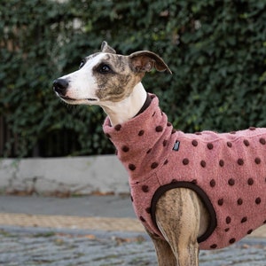 25% wool - Sweatshirt for Whippet - whippet clothes - PINK