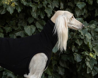 90% cotton - Sweatshirt for the big sighthounds. Saluki, sloughi, galgo, sighound