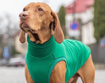 90% cotton - Sweatshirt for Vizsla - dog clothes - GREEN