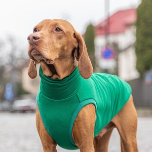 90% cotton Sweatshirt for Vizsla dog clothes GREEN image 1