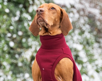 90% Baumwolle - Sweatshirt für Vizsla - Hundebekleidung - Rotwein