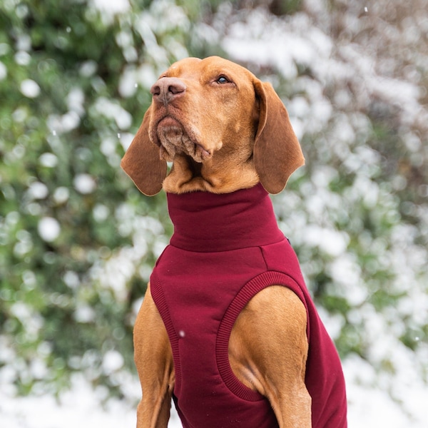 90% Baumwolle - Sweatshirt für Vizsla - Hundebekleidung - Rotwein