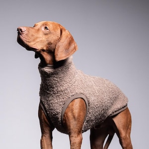 Può includere: Un cane marrone indossa un maglione beige con collo alto. Il cane è in piedi e guarda in alto. Il maglione copre il petto e la schiena del cane. Il pelo del cane è marrone-rossiccio. Il cane è su una superficie grigia.
