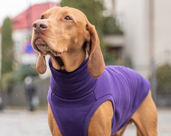 90% cotton - Sweatshirt for Vizsla - dog clothes - PURPLE