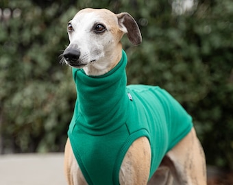 90% cotton - Sweatshirt for Whippet - whippet clothes - GREEN