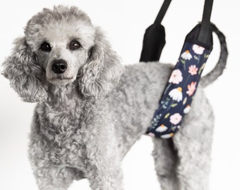 Comfort and Support: The Perfect Grooming Belt for Your Pooch. Dog grooming