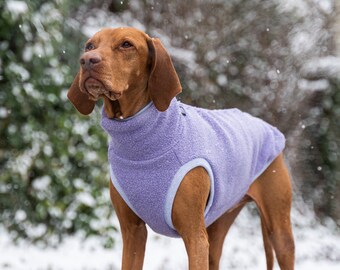Lila Wool sweatshirt Hungarian vizsla / german shorthaired pointer / weimaraner / Chinese Crested Dog clothes, pet accessories,