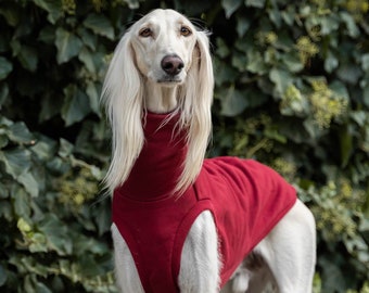 Aus 90% Baumwolle - Sweatshirt für den großen Windhund. Saluki, Sloughi, Galgo, Sighund